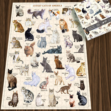Bboldin® Cutest Cats Jigsaw Puzzle 1000 Pieces